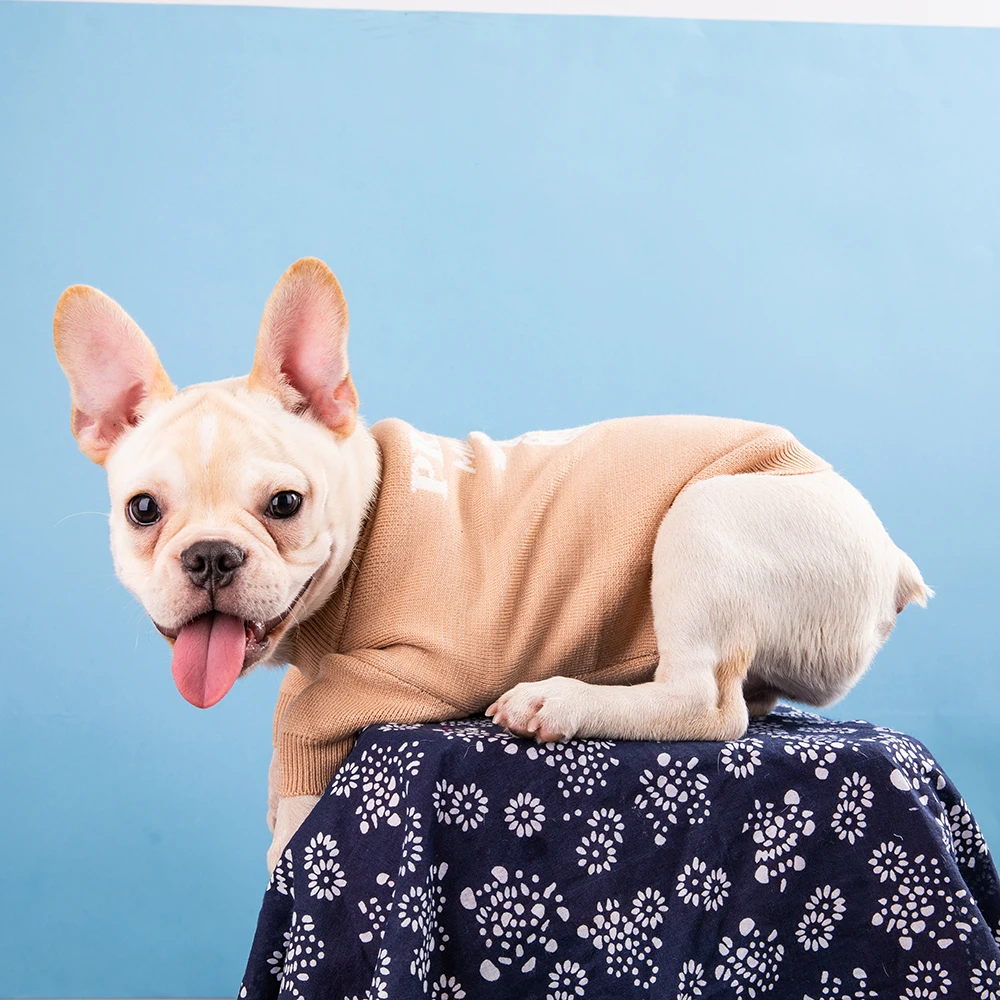 Designer Dog Clothes Pet Sweater Christmas Clothes for Dogs Autumn and Winter Thickened Warm French Bulldog Pet Clothing
Designer Dog Clothes Pet Sweater Christmas Clothes for Dogs Autumn and Winter Thickened Warm French Bulldog Pet Clothing