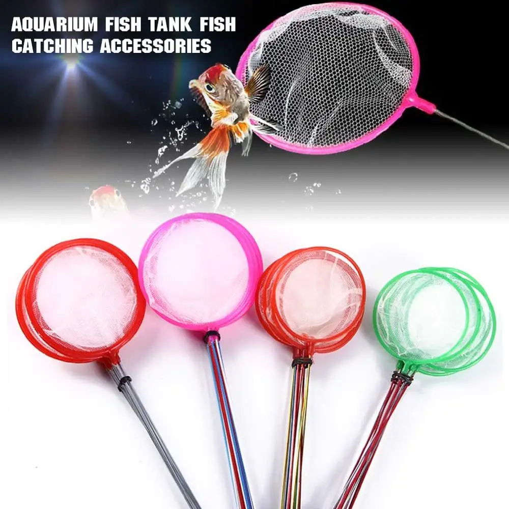 2Pcs New Arrivals 4 Sizes Practical Fishing Nets For Aquarium Fish Tank Fish Catching Accessories Random Color
2Pcs New Arrivals 4 Sizes Practical Fishing Nets For Aquarium Fish Tank Fish Catching Accessories Random Color