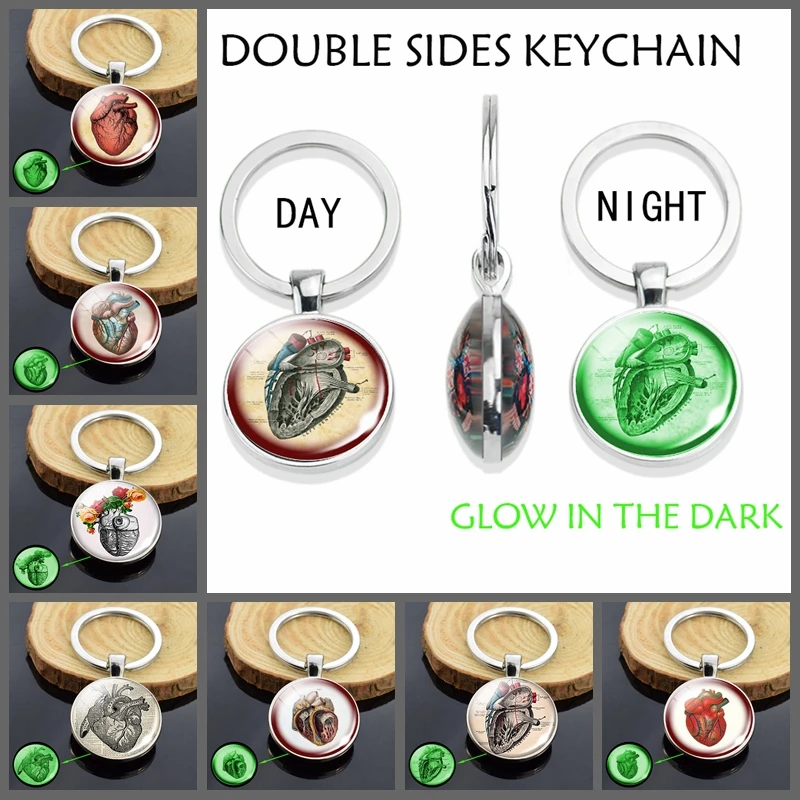 

Anatomical Heart Luminous Key Chain Glass Dome Glow In The Dark Keyring Heartbeat Sign Pendant Jewelry Biologist Doctors Gift