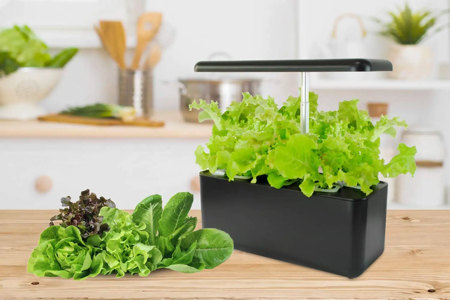 Hydroponics Growing System Indoor Herb Garden Starter Kit With Led Grow Light Smart Garden Planter For Home Kitchen Nursery Pots
Hydroponics Growing System Indoor Herb Garden Starter Kit With Led Grow Light Smart Garden Planter For Home Kitchen Nursery Pots