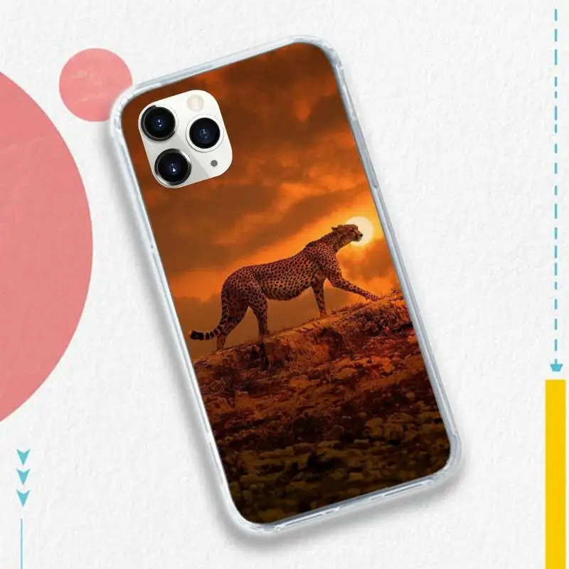 Animal leopard aesthetics Phone Case for iPhone 11 12 pro XS MAX 8 7 6 6S Plus X 5S SE 2020 XR
Animal leopard aesthetics Phone Case for iPhone 11 12 pro XS MAX 8 7 6 6S Plus X 5S SE 2020 XR