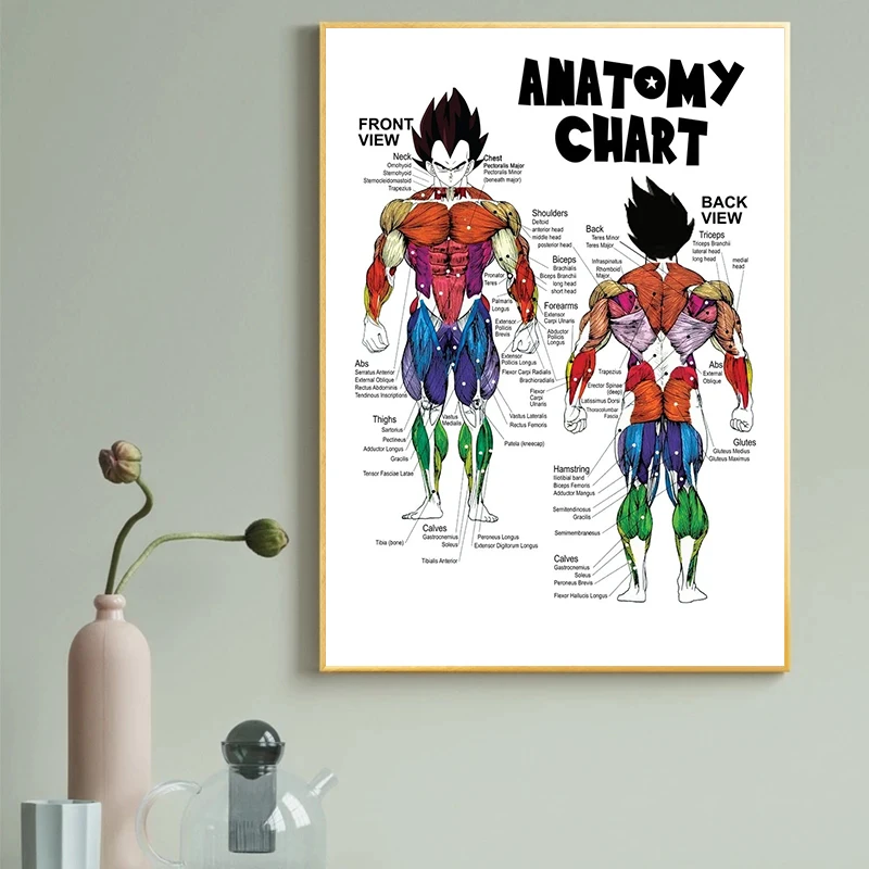 Canvas Painting Human Anatomy Muscle System Anime Fitness Art Printing Pictures Medical Education Home Decoration Posters
Canvas Painting Human Anatomy Muscle System Anime Fitness Art Printing Pictures Medical Education Home Decoration Posters