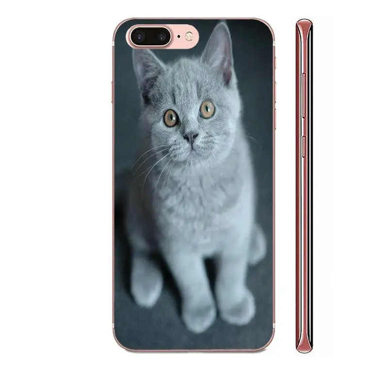 Чехол для телефона из ТПУ с серой кошкой и камерой Zenit Huawei Nova 2 V20 Y3II Y5 Y5II Y6 Y6II Y7 Y9 G8 G9