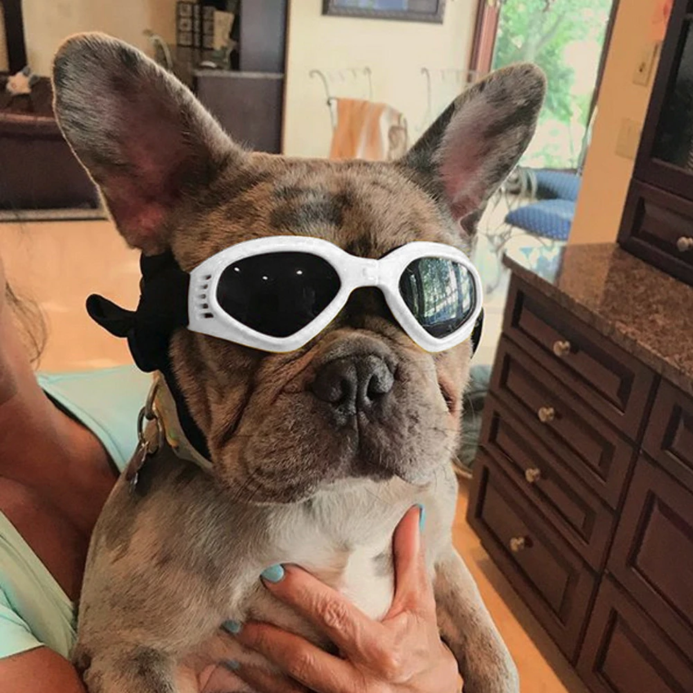 Pet Dog Sunglasses Pet Products Pet Sunglasses Foldable Puppy Eye Glasses for Small Medium Dogs Cats Photo Props
Pet Dog Sunglasses Pet Products Pet Sunglasses Foldable Puppy Eye Glasses for Small Medium Dogs Cats Photo Props