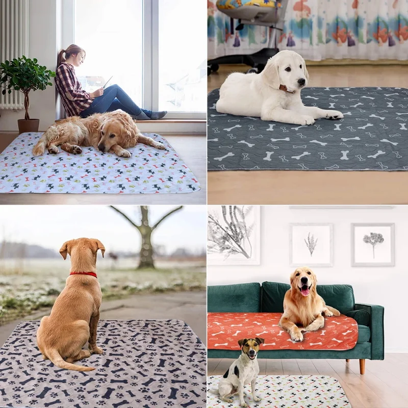 3 Layer Face Absorbent Pet Mat Soft Reusable Pet Cushion With No-slip Rubber Layer Washable Mat Puppy Pee Cushion Dog Accessory
3 Layer Face Absorbent Pet Mat Soft Reusable Pet Cushion With No-slip Rubber Layer Washable Mat Puppy Pee Cushion Dog Accessory