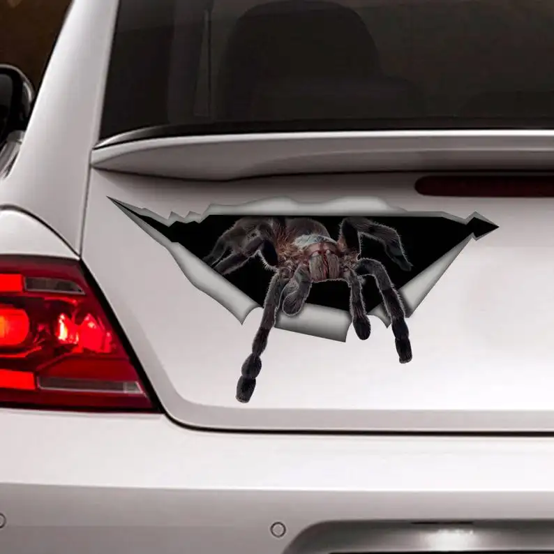 2021 Spider car decal, funny car decal, spider sticker , car decoration, 3D decal
2021 Spider car decal, funny car decal, spider sticker , car decoration, 3D decal