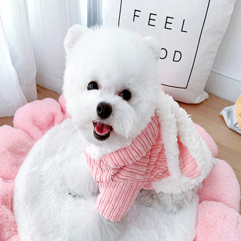 Pet Autumn And Winter Warm Clothes Cute Costume Rabbit Design 2-legged Cotton-padded Coat For Dog
Pet Autumn And Winter Warm Clothes Cute Costume Rabbit Design 2-legged Cotton-padded Coat For Dog