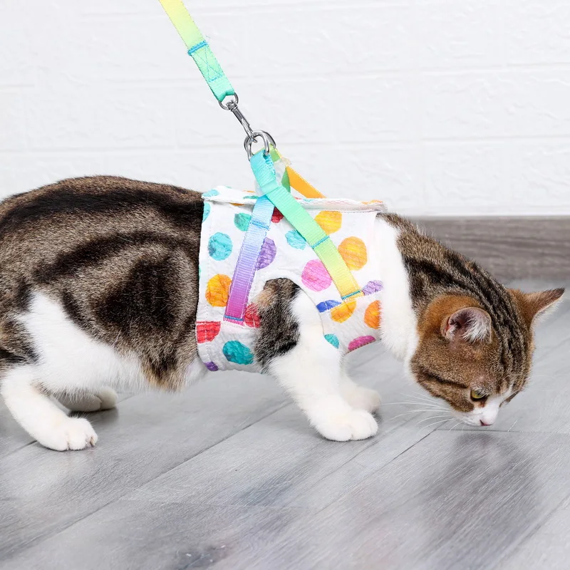 Dog Harness Vest For Small Medium Dogs Cats Pet Summer Fashion Dot Vest Harnesses French Bulldog Puppy Kitten Accessories
Dog Harness Vest For Small Medium Dogs Cats Pet Summer Fashion Dot Vest Harnesses French Bulldog Puppy Kitten Accessories