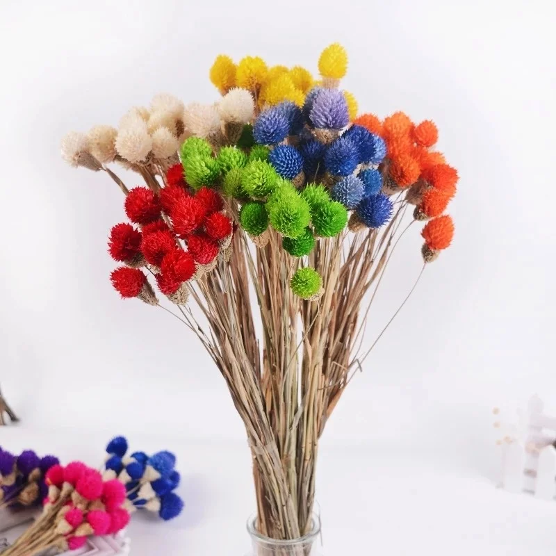 Simulation Plant 50cm Single Branch 15head Strawberry Fruit Immortal Dried Flowerhomeflower Arrangement Christmaspartydecoration
Simulation Plant 50cm Single Branch 15head Strawberry Fruit Immortal Dried Flowerhomeflower Arrangement Christmaspartydecoration