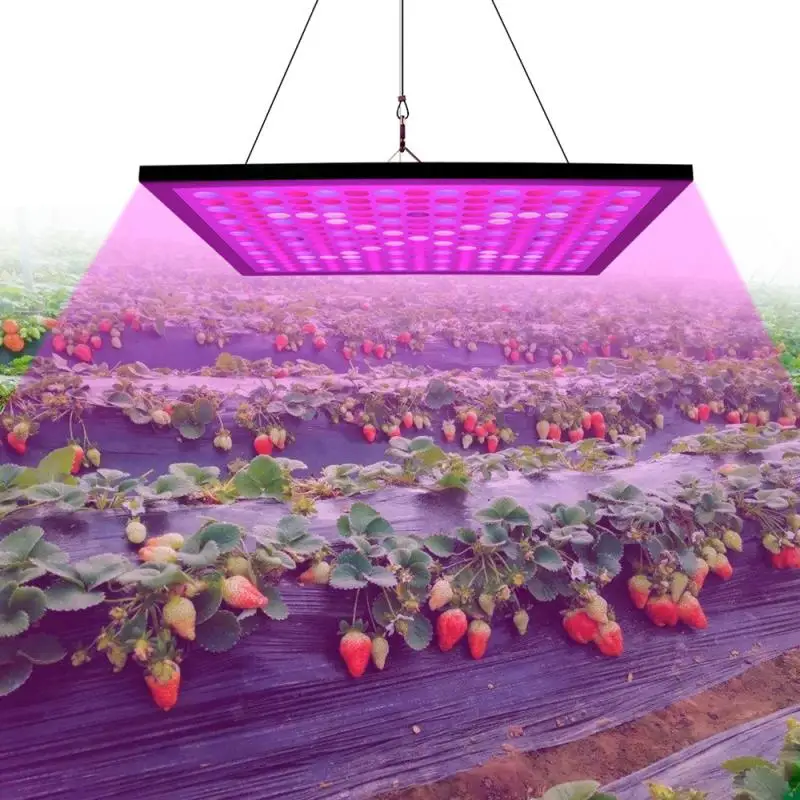 Светодиодная комнатная фитолампа полного спектра для выращивания растений 
Светодиодная комнатная фитолампа полного спектра для выращивания растений