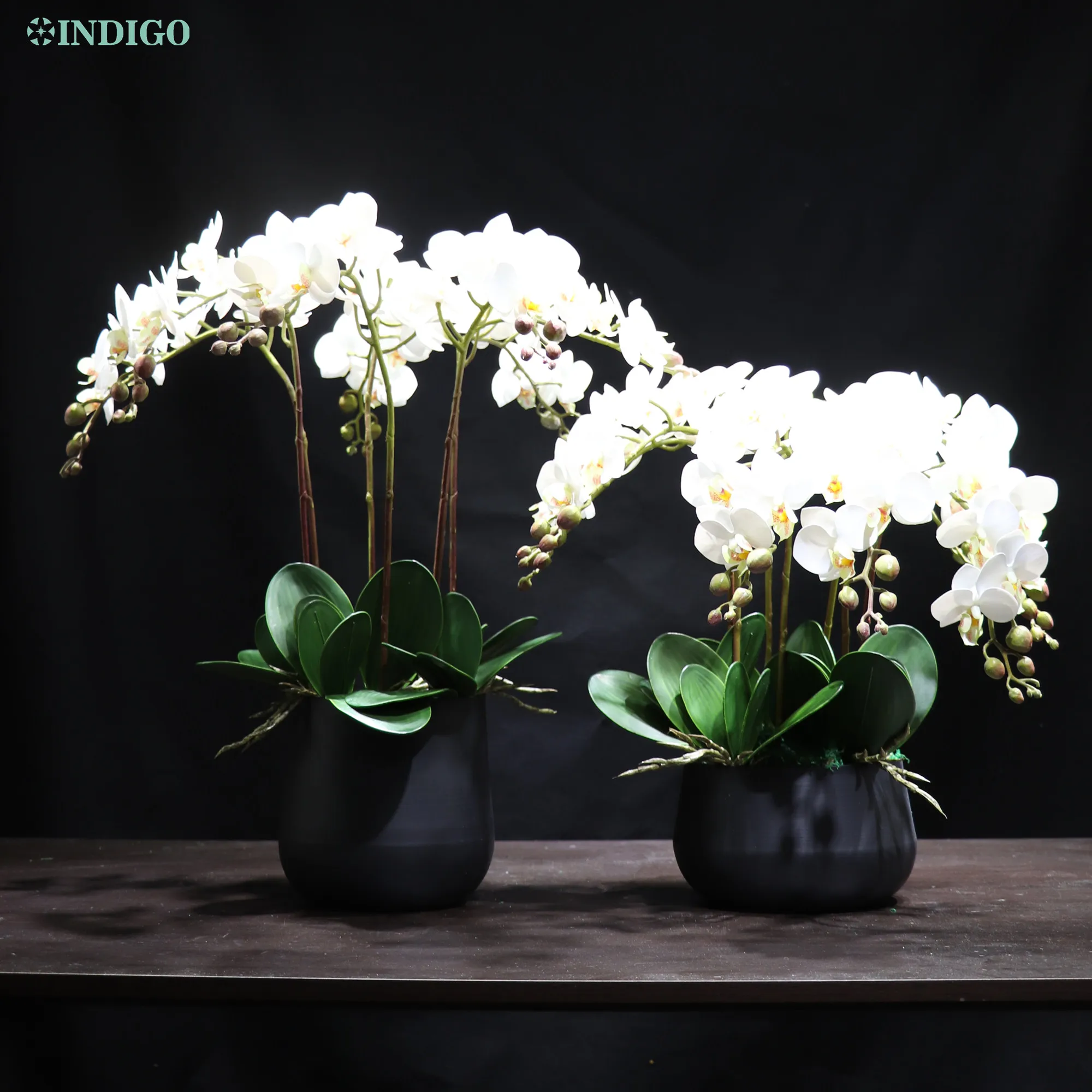 INDIGO-White Moth Orchid (1 Set 7Pcs Orchid+5Pcs Leaves+Pot) DIY Flower Arrangment 3D Petals Office Decoration Event Centerpiece
INDIGO-White Moth Orchid (1 Set 7Pcs Orchid+5Pcs Leaves+Pot) DIY Flower Arrangment 3D Petals Office Decoration Event Centerpiece