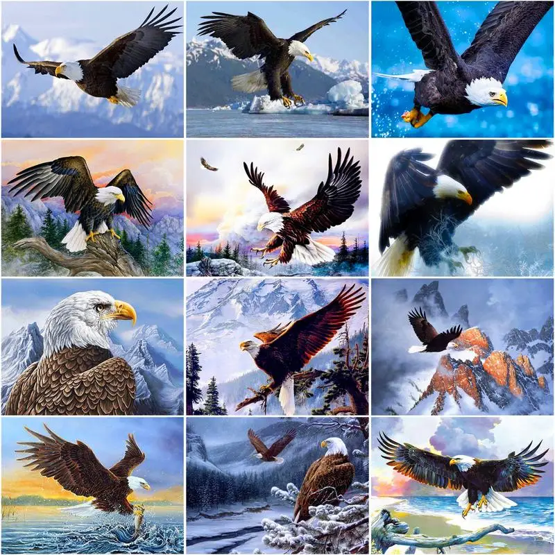 CHENISTORY Frame Picture Diy Oil Painting By Numbers Kits Eagle Animals Acrylic Wall Art Home Decors Coloring By Numbers For Diy 
CHENISTORY Frame Picture Diy Oil Painting By Numbers Kits Eagle Animals Acrylic Wall Art Home Decors Coloring By Numbers For Diy