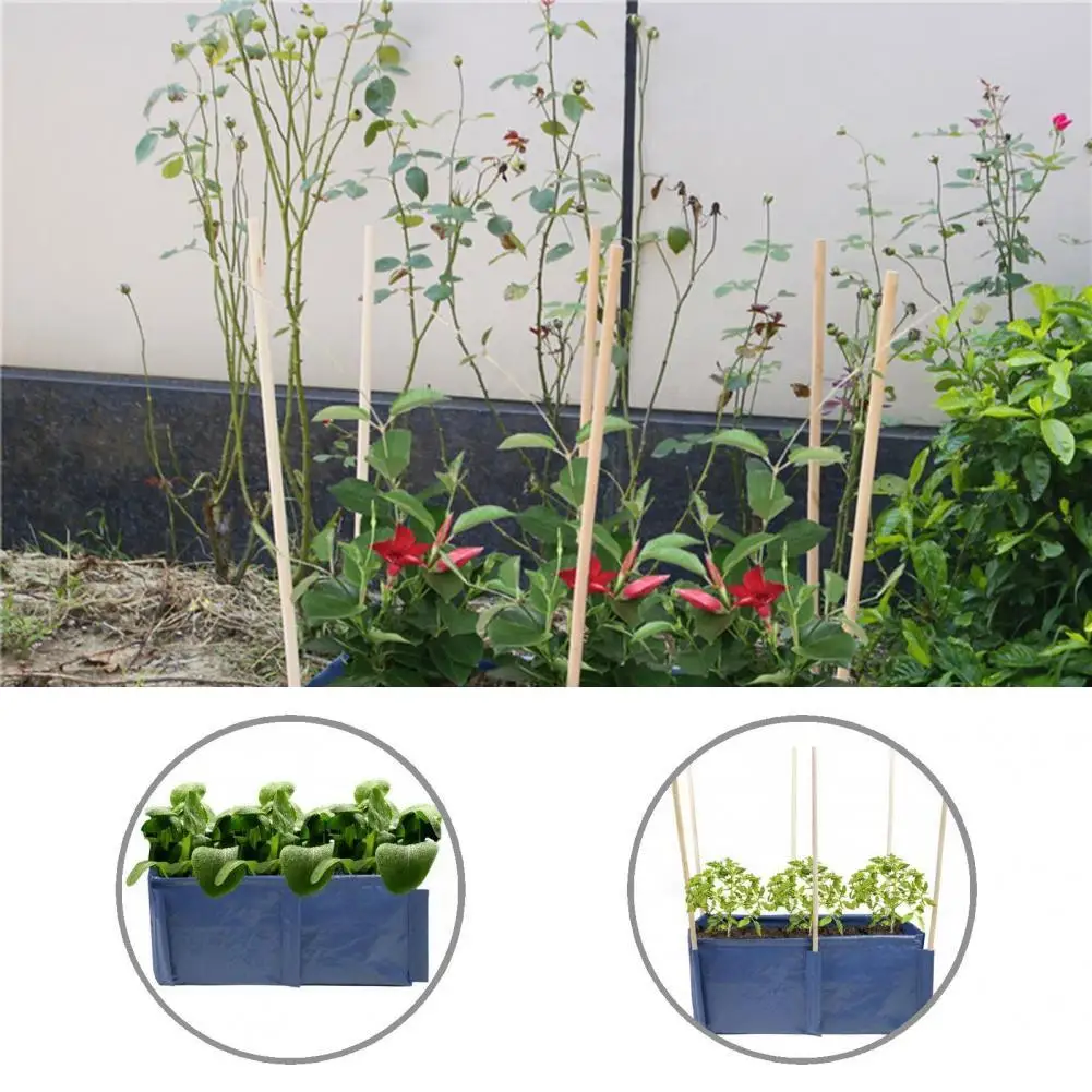 Blue Premium Vegetable Planting Container Pouch Gardening Tool Planting Pouch Anti-leakage for Balcony
Blue Premium Vegetable Planting Container Pouch Gardening Tool Planting Pouch Anti-leakage for Balcony