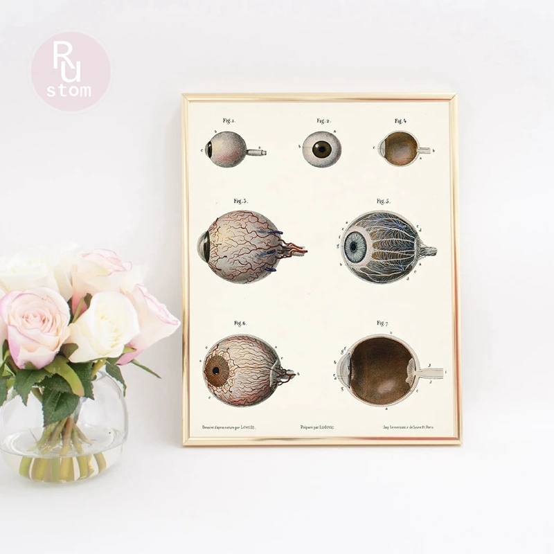 Human Eye Print Optometrist Gifts Anatomy Poster Optometry Decor Clinic Wall Art Canvas Painting Medical School Eye Diagram
Human Eye Print Optometrist Gifts Anatomy Poster Optometry Decor Clinic Wall Art Canvas Painting Medical School Eye Diagram