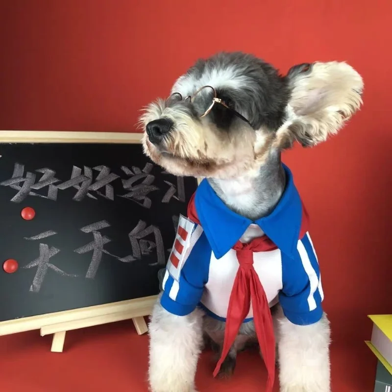 Net celebrity pet cat dog clothes Teddy Fadou Schnauzer Pomeranian small dog spring and autumn T-shirt school uniform clothes
Net celebrity pet cat dog clothes Teddy Fadou Schnauzer Pomeranian small dog spring and autumn T-shirt school uniform clothes