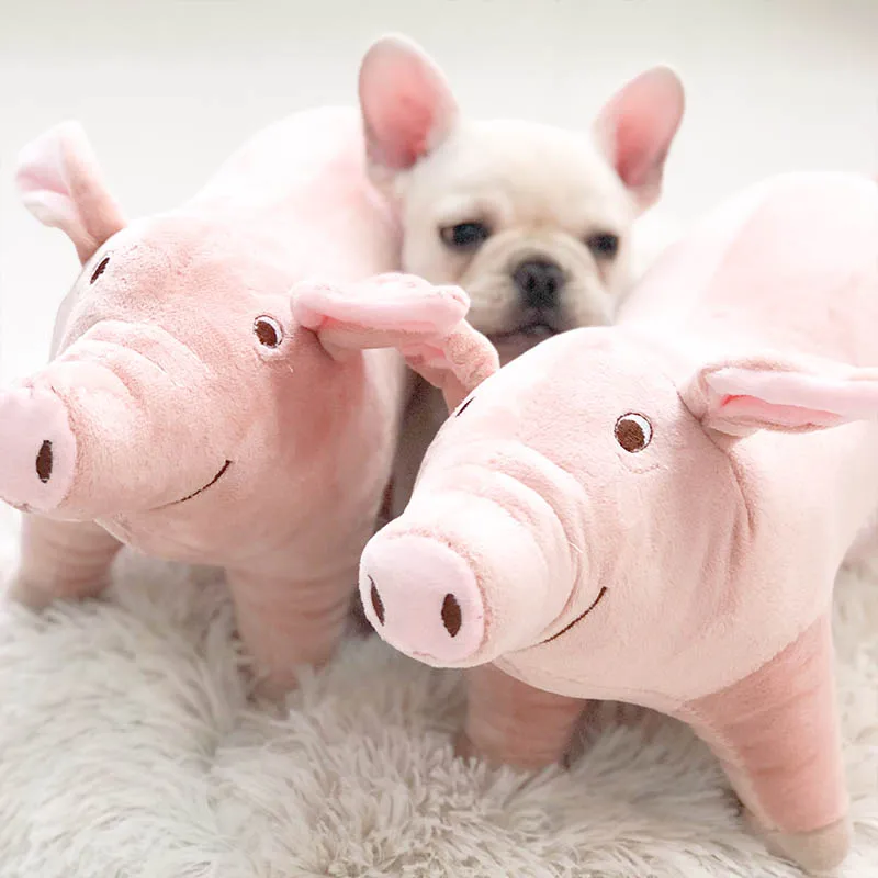 Pet Molar Bite-resistant Plush Toys Dog Sleeping Pig Dolls Dog Vent Toys Male Dog Teddy Bichon Puppies Pet Supplies
Pet Molar Bite-resistant Plush Toys Dog Sleeping Pig Dolls Dog Vent Toys Male Dog Teddy Bichon Puppies Pet Supplies