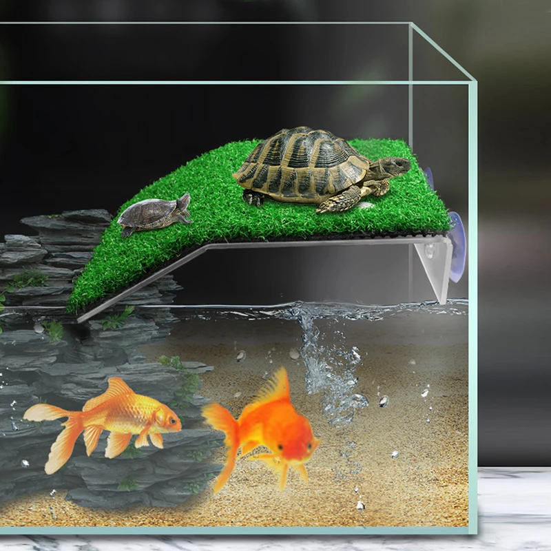 Creative Unique Terrace Strong Practical Ornaments Popular Fish Tank Decoration Tortoise Terrace Simulation Lawn Decorations
Creative Unique Terrace Strong Practical Ornaments Popular Fish Tank Decoration Tortoise Terrace Simulation Lawn Decorations