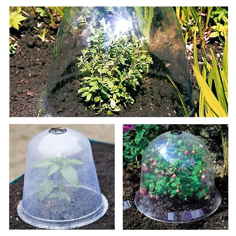 Garden Cloche Plastic Protective Plants Bells Dome Breathable Covers Thermal Insulation Moisturize For Succulent Greenhouse
Garden Cloche Plastic Protective Plants Bells Dome Breathable Covers Thermal Insulation Moisturize For Succulent Greenhouse