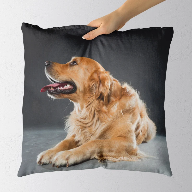 Can choose size Throw Pillow case Hot New Fashion Sofa Bed Home Decorative Pillowcases
Can choose size Throw Pillow case Hot New Fashion Sofa Bed Home Decorative Pillowcases