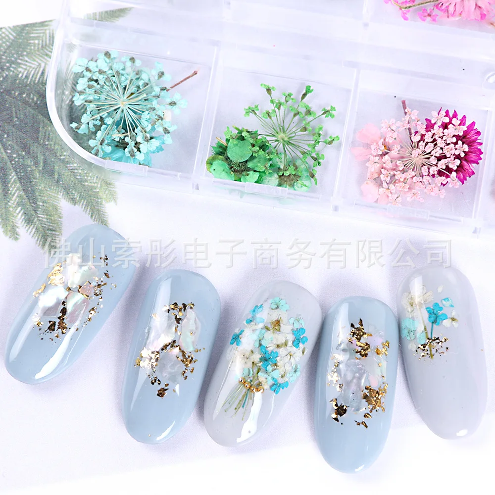 2020New Mix Dried Flowers Nail Decorations Jewelry Natural Floral Leaf Stickers 3D Nail Art Designs Polish Manicure Accessories
2020New Mix Dried Flowers Nail Decorations Jewelry Natural Floral Leaf Stickers 3D Nail Art Designs Polish Manicure Accessories