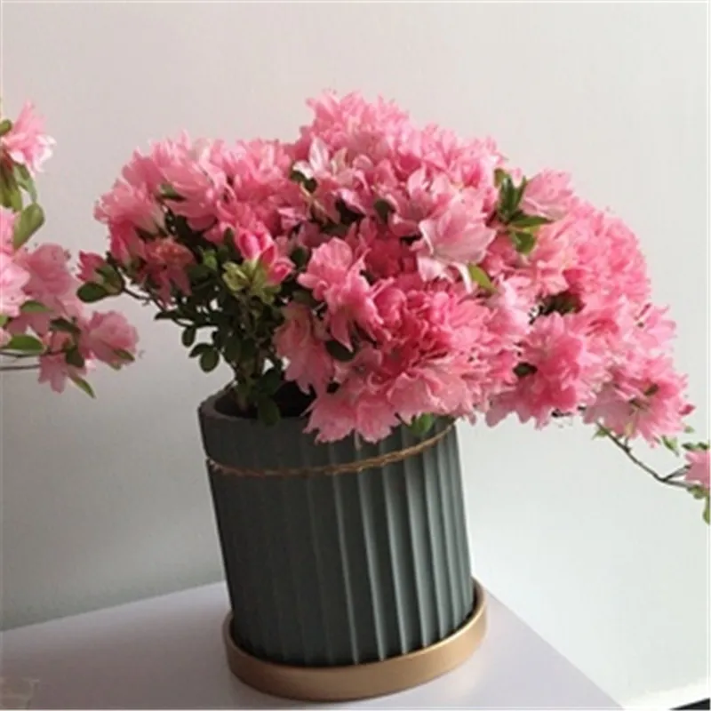 Round Silicone Mold Big Pot Making Cement Clay Planter Concrete Flowerpot Silicon Molds
Round Silicone Mold Big Pot Making Cement Clay Planter Concrete Flowerpot Silicon Molds