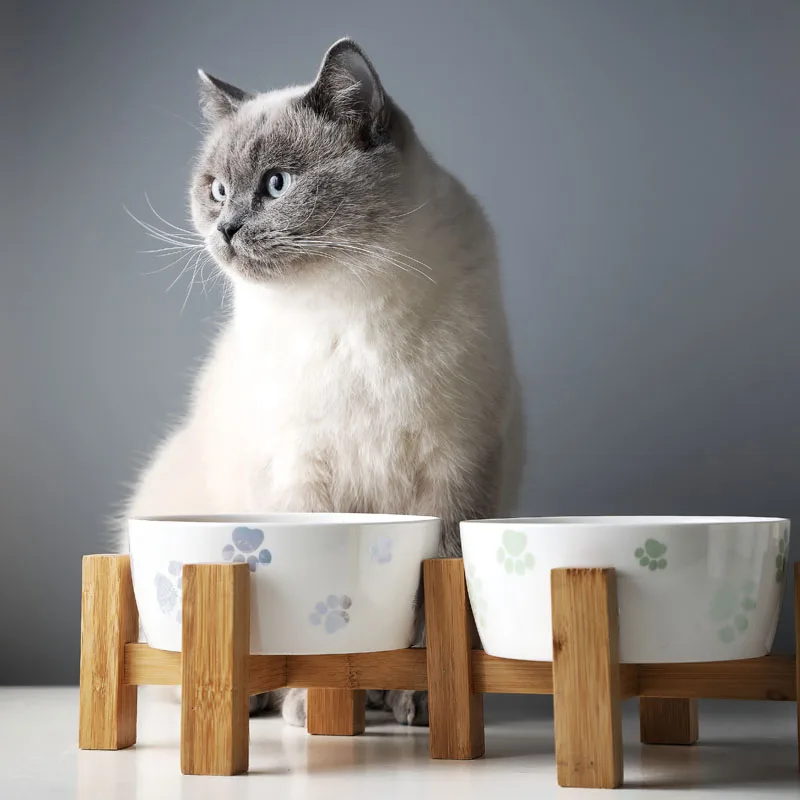 Raised Cat Bowl Eco Friendly Creative Elevated Wooden Cat Bowl Feeders Ceramic Healthy Tigela Para Gato Pet Supplies OO50MM
Raised Cat Bowl Eco Friendly Creative Elevated Wooden Cat Bowl Feeders Ceramic Healthy Tigela Para Gato Pet Supplies OO50MM