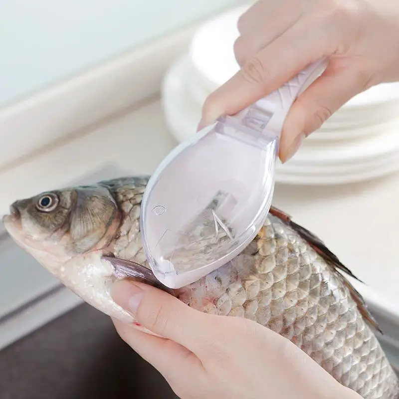 Fish Scaler Fish Skin Brush Scraping Fishing Scale Grater Remover Peeler Scaler Scraper Tool Kitchen Accessories Gadget 2021 NEW
Fish Scaler Fish Skin Brush Scraping Fishing Scale Grater Remover Peeler Scaler Scraper Tool Kitchen Accessories Gadget 2021 NEW