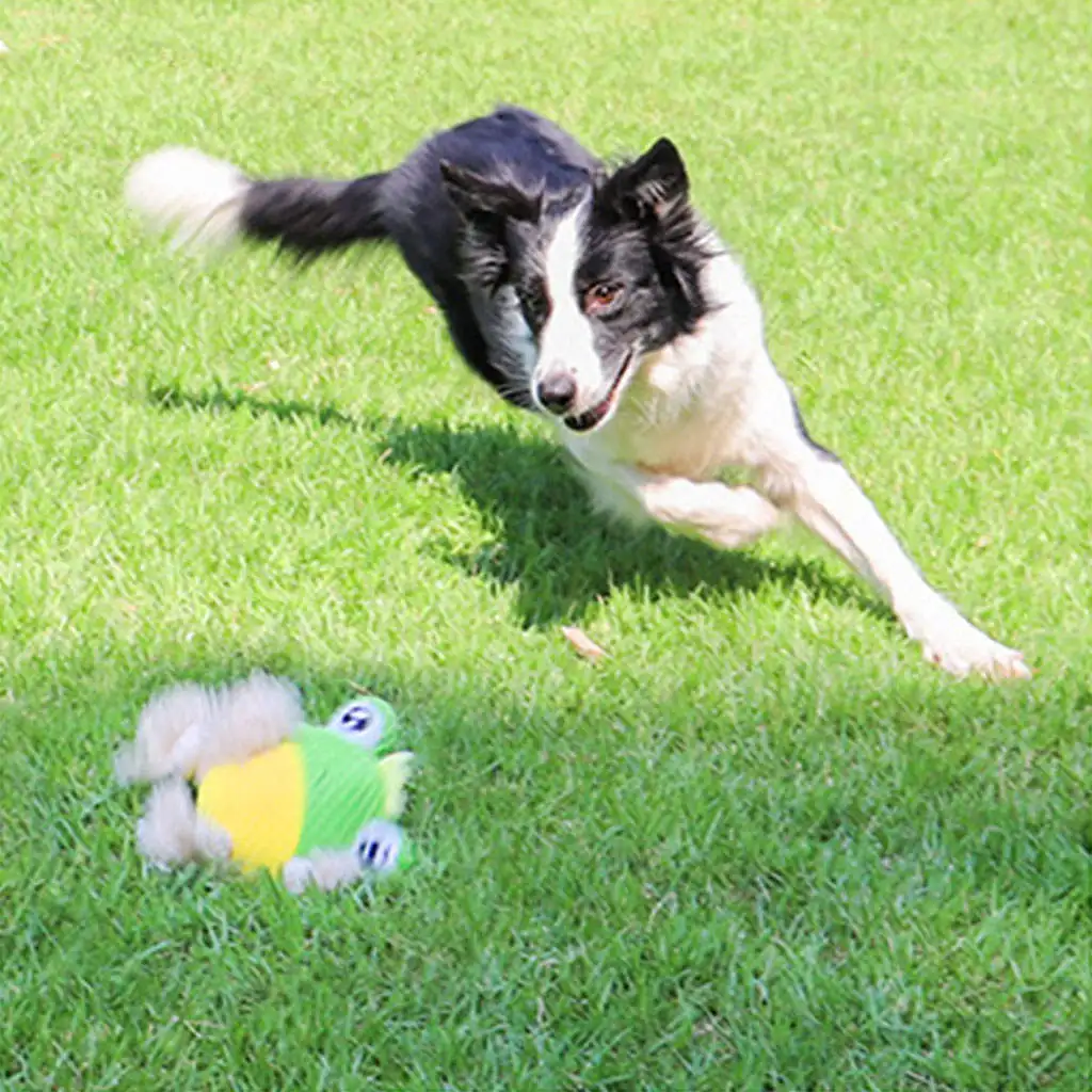 Dog Plush Toy Indestructible Stuffed Animals Dog Squeaky Toys for Large Aggressive Chewers
Dog Plush Toy Indestructible Stuffed Animals Dog Squeaky Toys for Large Aggressive Chewers