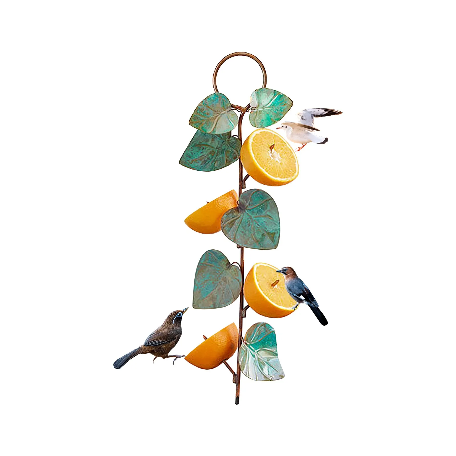 Garden Bird Feeder Creative Fruit Sahpe Bird Feeder Small Birds Wild Bird Feeder Gazebo Hummingbird Feeder Feeding Bird
Garden Bird Feeder Creative Fruit Sahpe Bird Feeder Small Birds Wild Bird Feeder Gazebo Hummingbird Feeder Feeding Bird