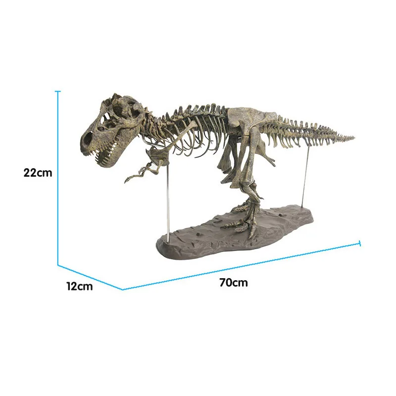 Имитация 3D динозавра модель скелета обучающий динозавр биология интересная
