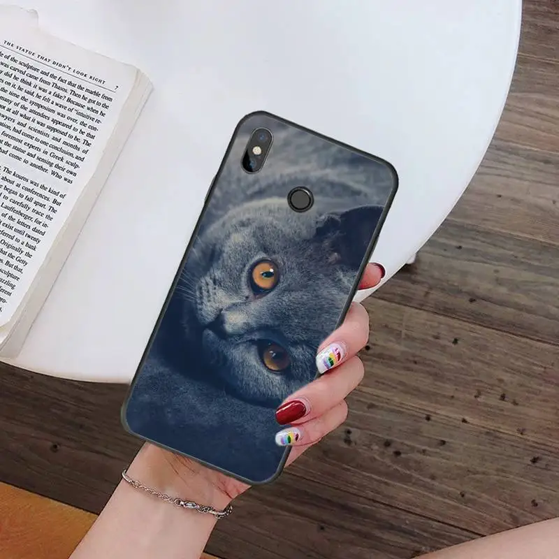 Chartreux cat cute lovely animal Phone Cases For Xiaomi Redmi 7 9t 9se k20 mi8 max3 lite 9 note 8 9s 10 pro Soft Silicone Shell 
Chartreux cat cute lovely animal Phone Cases For Xiaomi Redmi 7 9t 9se k20 mi8 max3 lite 9 note 8 9s 10 pro Soft Silicone Shell