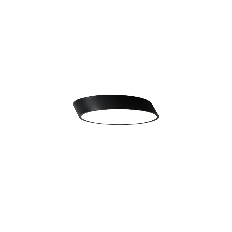 LED Indoor Ceiling Lights Modern Luster Lamps For Study Bedroom Aisle Corridor Balcony Living Room HOME Decoration Fixtures
LED Indoor Ceiling Lights Modern Luster Lamps For Study Bedroom Aisle Corridor Balcony Living Room HOME Decoration Fixtures