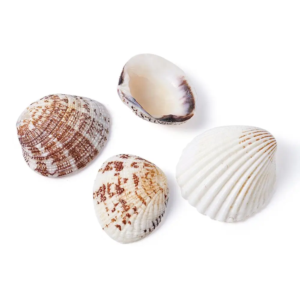 500g Clam Shell Beads Seashell Color For Necklace Bracelet Wind chimes Handmade Making
500g Clam Shell Beads Seashell Color For Necklace Bracelet Wind chimes Handmade Making