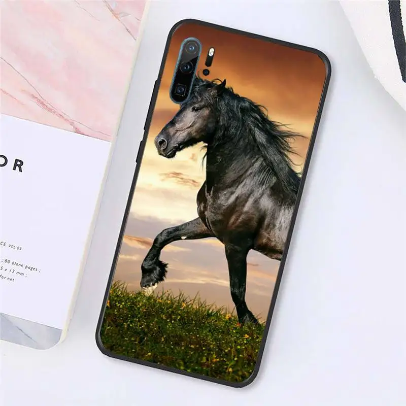 horse animal Mobile accessories Phone Case For Huawei honor Mate P 10 20 30 40 Pro 10i 9 10 20 8x Lite Y91C V17 6.38 6.44
horse animal Mobile accessories Phone Case For Huawei honor Mate P 10 20 30 40 Pro 10i 9 10 20 8x Lite Y91C V17 6.38 6.44
