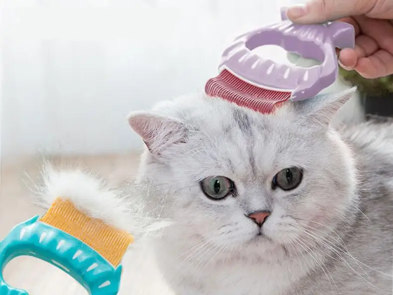 Товары для домашних животных 2020, Аксессуары для кошек, щетка для удаления шерсти, в форме ракушки, инструмент для ухода за собаками универса...
Товары для домашних животных 2020, Аксессуары для кошек, щетка для удаления шерсти, в форме ракушки, инструмент для ухода за собаками универса...