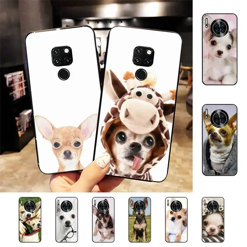 Animal Chihuahua dog Phone Case For Huawei Nova3I 3E 7se mate 9 20 30 lite 20Pro 10 lite unda case
Animal Chihuahua dog Phone Case For Huawei Nova3I 3E 7se mate 9 20 30 lite 20Pro 10 lite unda case