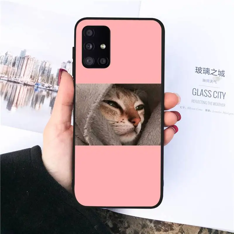 

Cute Cat dog Phone Case For Samsung S 7 8 9 10 20 A 21S 20e 50 51 71 note9 10 J4 plus 20 ultra