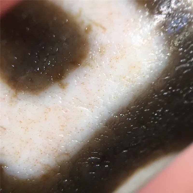 200908-2 High Oily Zenghuai Dzi Beads with Cinnabar Dots Amulet Beads Collectable free shipping
200908-2 High Oily Zenghuai Dzi Beads with Cinnabar Dots Amulet Beads Collectable free shipping