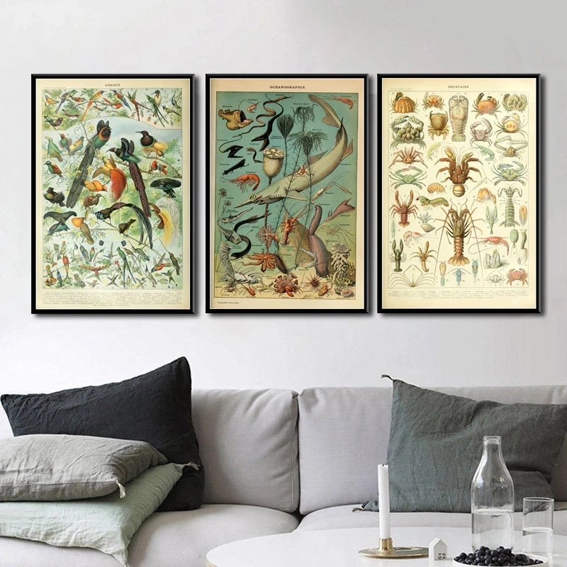 Plant, animal and mushroom, ocean map hight quality home Decor No Frame Kraft paper poster
Plant, animal and mushroom, ocean map hight quality home Decor No Frame Kraft paper poster