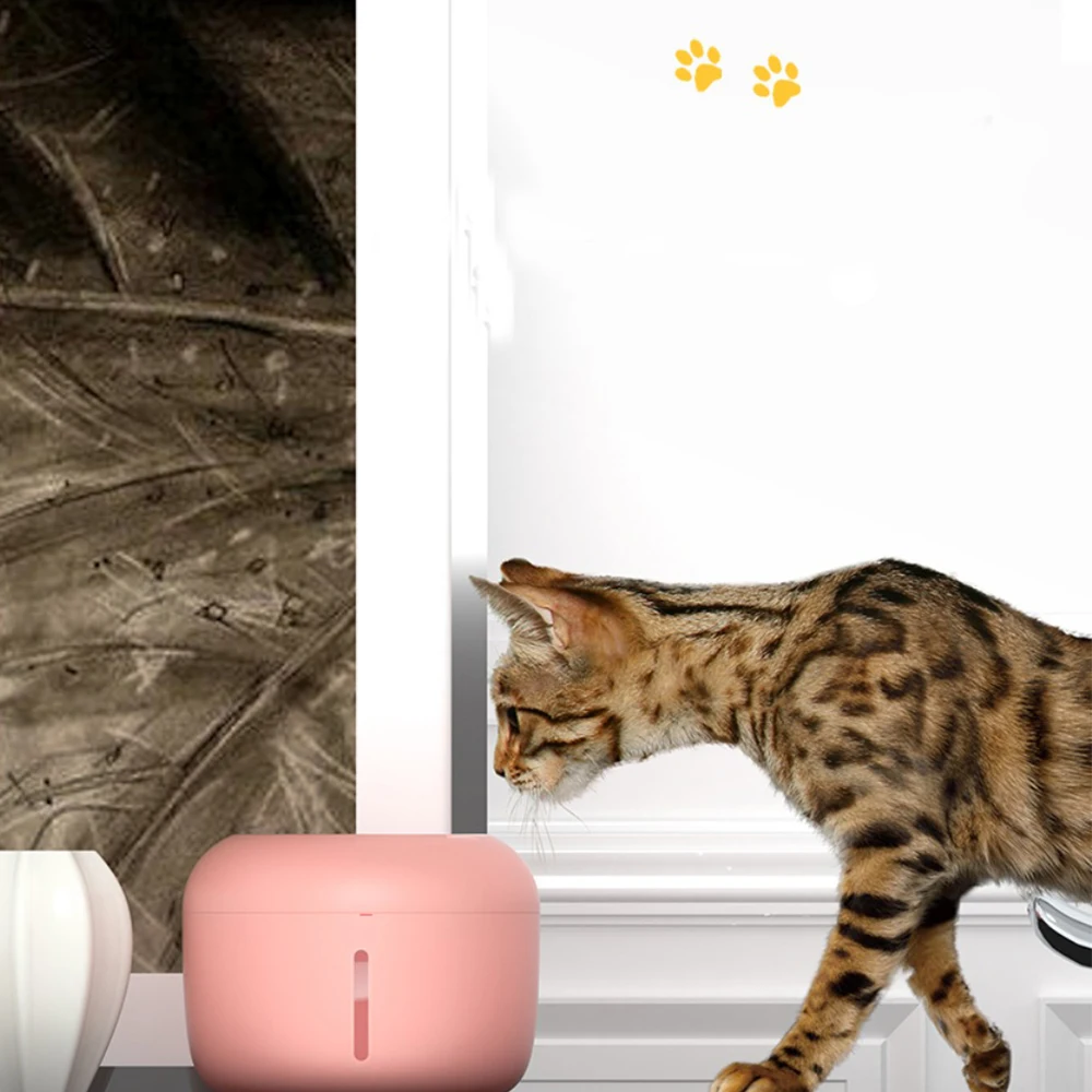 2.5L Cat Fountain Drinking Dispenser with Filter Box Automatic Drinker Electric Pet Dog Cats USB Chargeable Water Bowl
2.5L Cat Fountain Drinking Dispenser with Filter Box Automatic Drinker Electric Pet Dog Cats USB Chargeable Water Bowl