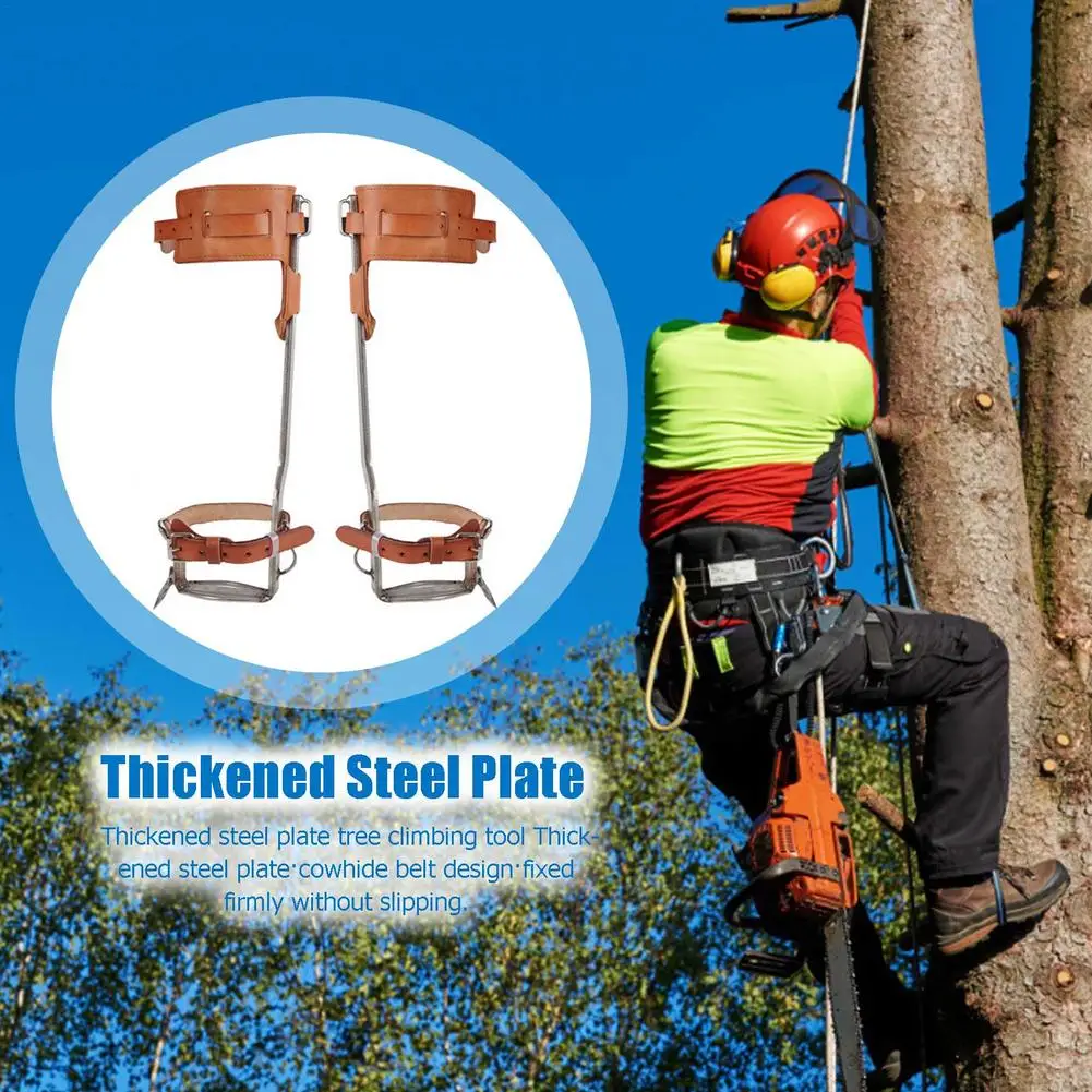 Stainless Steel Climbing Nails Non-slip Tree Climbing Spike Set Tree Climbing Artifact Cat's Claw Adjustable Safety Belt Lanyard
Stainless Steel Climbing Nails Non-slip Tree Climbing Spike Set Tree Climbing Artifact Cat's Claw Adjustable Safety Belt Lanyard
