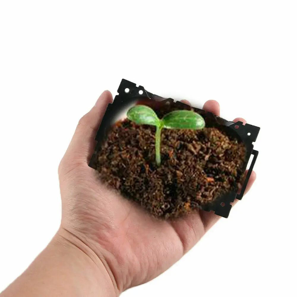 5pcs Plant Rooting Ball Grafting Rooting Box Breeding Case Plant Root Growing Box For Garden 5/8cm In Diameter planting tools
5pcs Plant Rooting Ball Grafting Rooting Box Breeding Case Plant Root Growing Box For Garden 5/8cm In Diameter planting tools