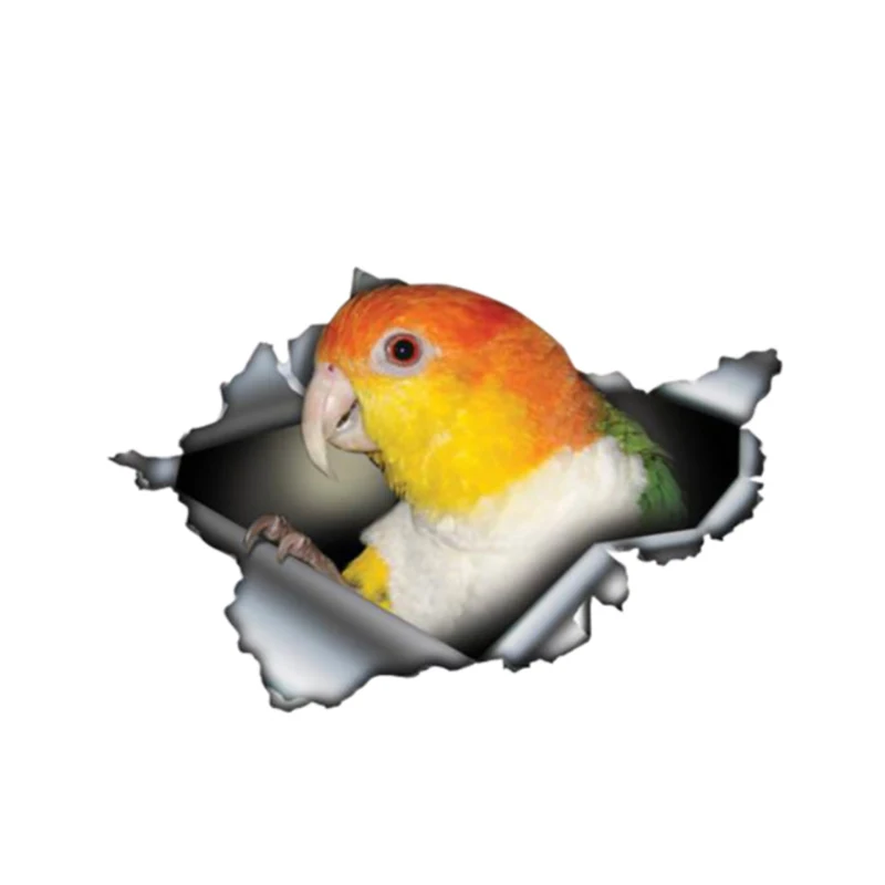 B0753# Self-adhesive Decal Parrot Car Sticker Waterproof Auto Decors on Bumper Rear Window Motorcycle Laptop
B0753# Self-adhesive Decal Parrot Car Sticker Waterproof Auto Decors on Bumper Rear Window Motorcycle Laptop