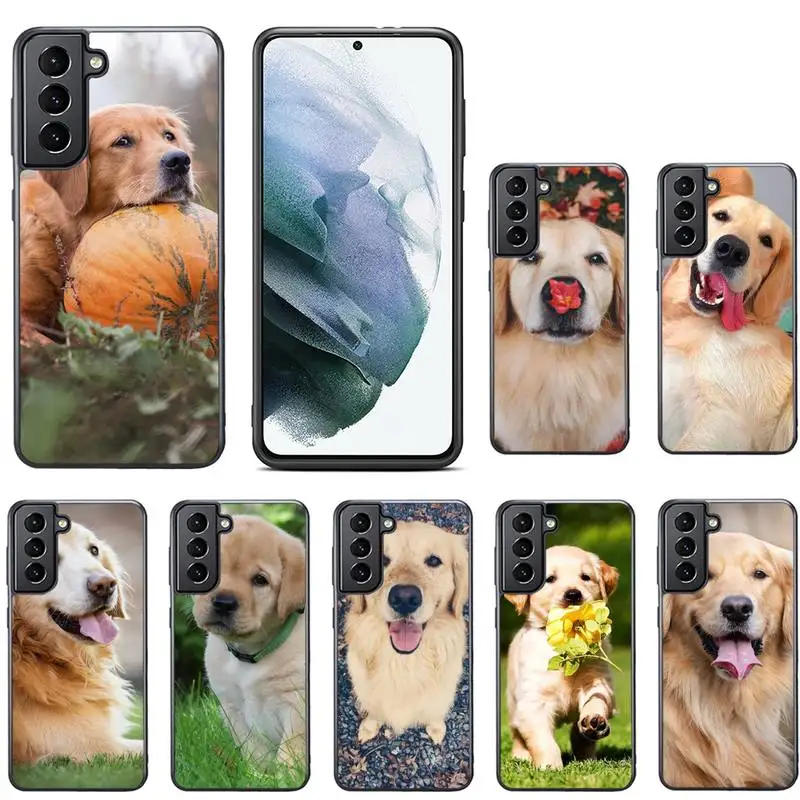 Hot Cute Golden Retriever Dogs Phone Case For Samsung S8 S9 S10 S20 plus 5G lite note 20 ultra PC nax fundas cover
Hot Cute Golden Retriever Dogs Phone Case For Samsung S8 S9 S10 S20 plus 5G lite note 20 ultra PC nax fundas cover