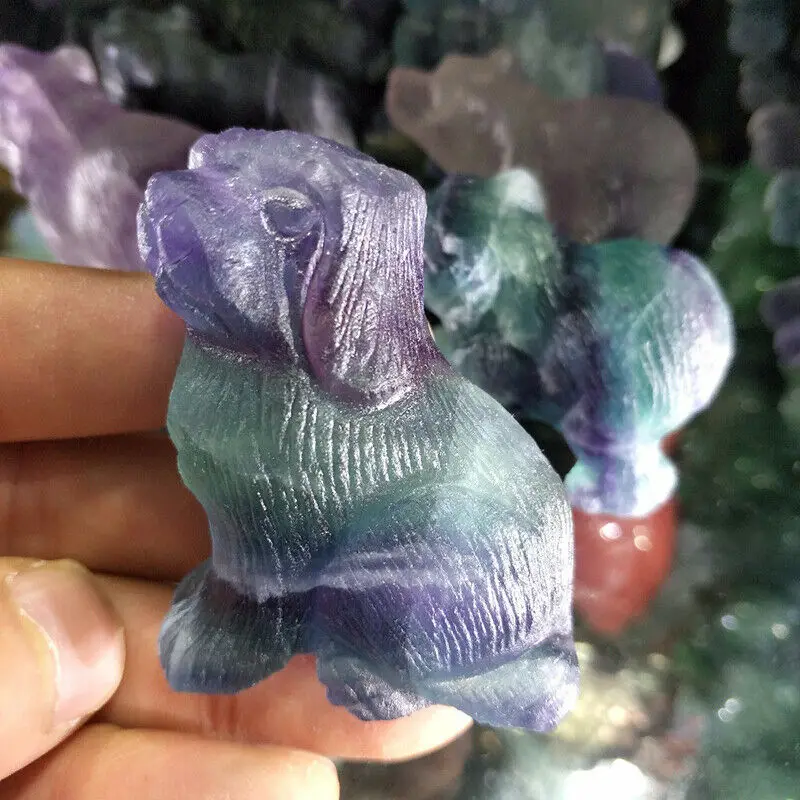 1pcs Natural Colourful Fluorite Quartz Crystal Dog Hand Carved Healing Home Decor 2''
1pcs Natural Colourful Fluorite Quartz Crystal Dog Hand Carved Healing Home Decor 2''