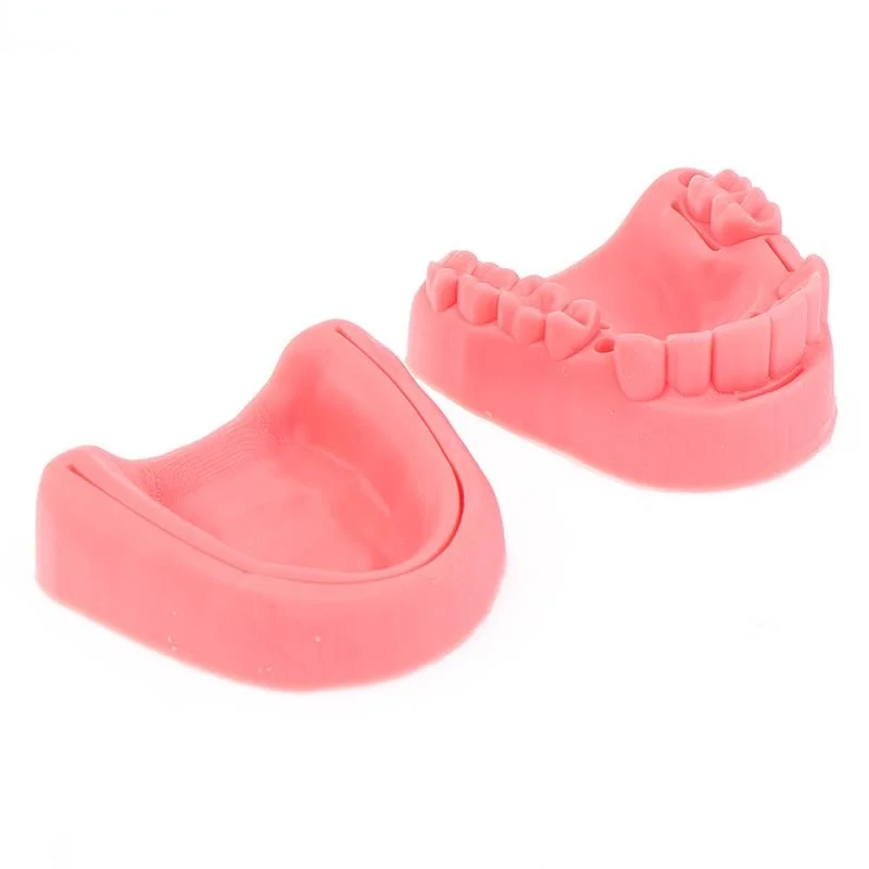 2Pcs Dental Oral Gum Suture Training Module Silicone Periodontitis Suture Model Dentist Gift Dental Model Tooth Model 2022
2Pcs Dental Oral Gum Suture Training Module Silicone Periodontitis Suture Model Dentist Gift Dental Model Tooth Model 2022