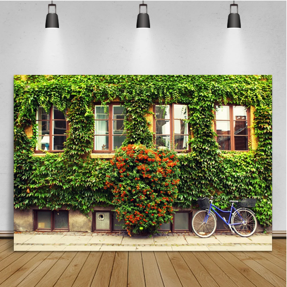 Laeacco Outdoor Green Plants Wall Bicycle Baby Portrait Room Decor Backdrop Photographic Photo Background For Photo Studio
Laeacco Outdoor Green Plants Wall Bicycle Baby Portrait Room Decor Backdrop Photographic Photo Background For Photo Studio