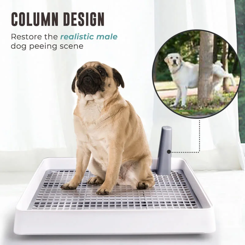 Portable Dog Training Toilet Indoor Poppy Potty Toilet for Small Dogs Cats Litter Box Puppy Pad Holder Tray Pet Supplies
Portable Dog Training Toilet Indoor Poppy Potty Toilet for Small Dogs Cats Litter Box Puppy Pad Holder Tray Pet Supplies