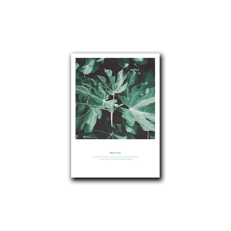 Nordic pillar plants Nord style canvas wall art minimalist printing decorative painting tropical decoration
Nordic pillar plants Nord style canvas wall art minimalist printing decorative painting tropical decoration