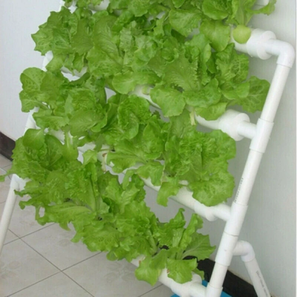 Slotted Mesh Soilless Culture 50pcs Vegetable Net Cups Mesh Pot Grow Vegetable